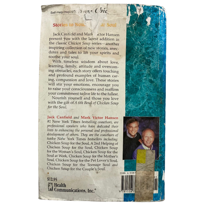 A 6th Bowl of Chicken Soup for the Soul