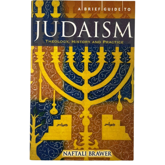 A Brief Guide to Judaism: Theology  History and Practice
