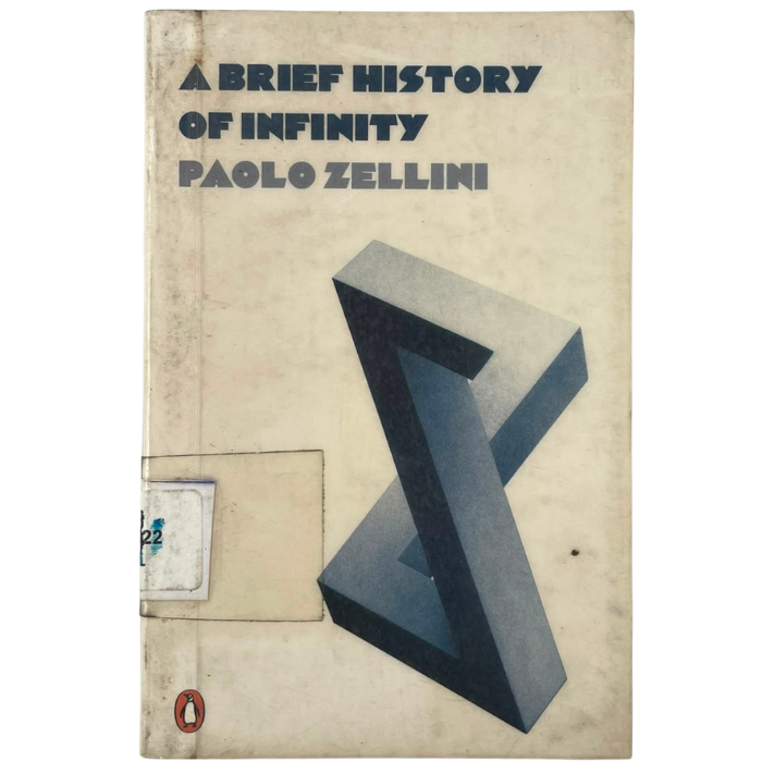 A Brief History of Infinity