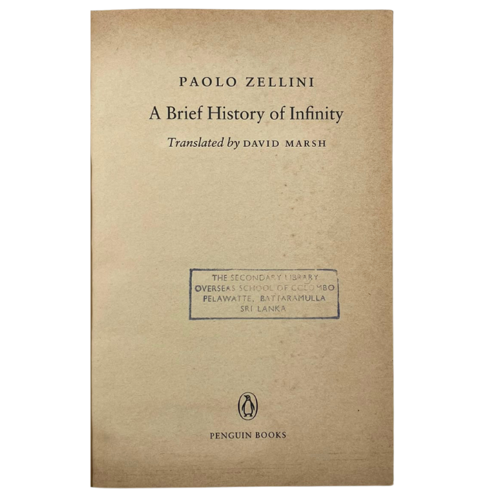 A Brief History of Infinity