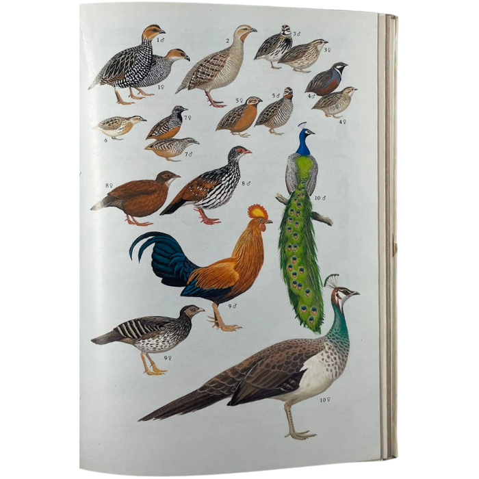 A Field Guide to the Birds of Sri Lanka