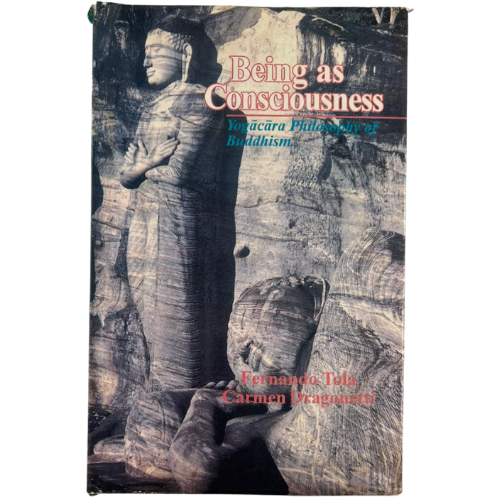 Being as Consciousness