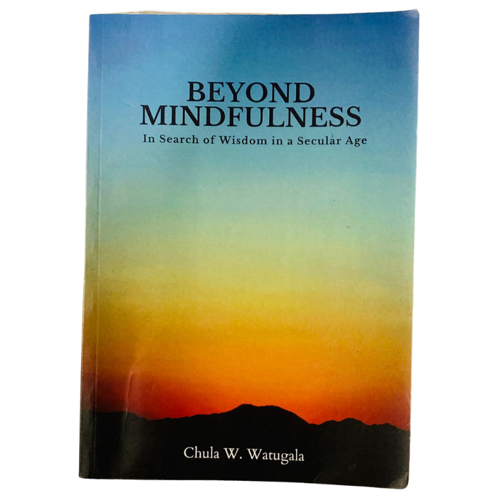 Beyond Mindfulness: In Search of Wisdom in a Secular Age