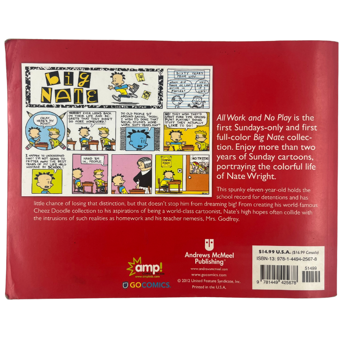 Big Nate: All Work and No Play