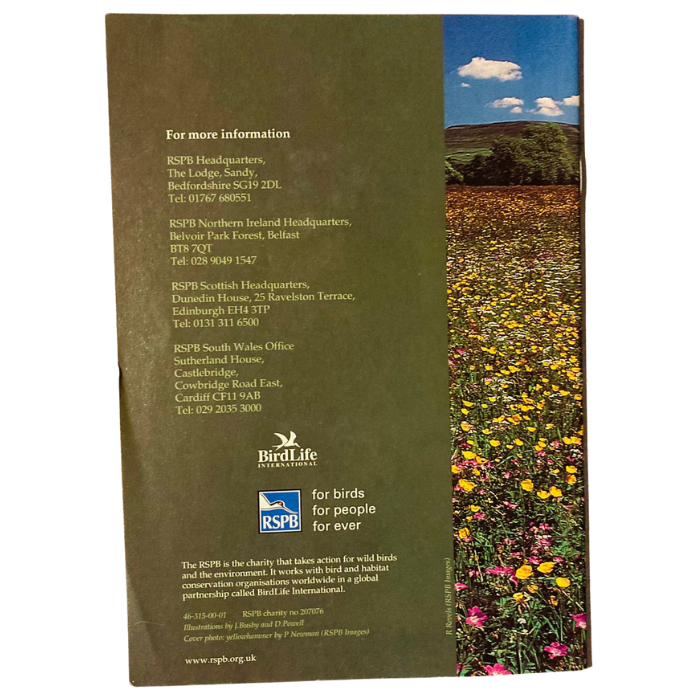 Birds In our Countryside (A Guide from the RSPB)