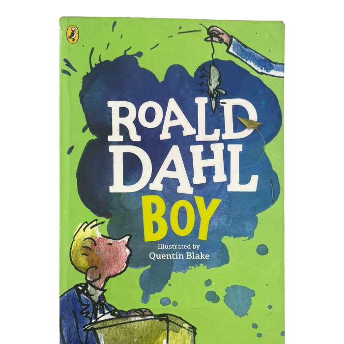 Boy: Tales of Childhood