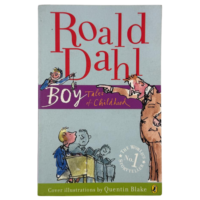 Boy: Tales of Childhood