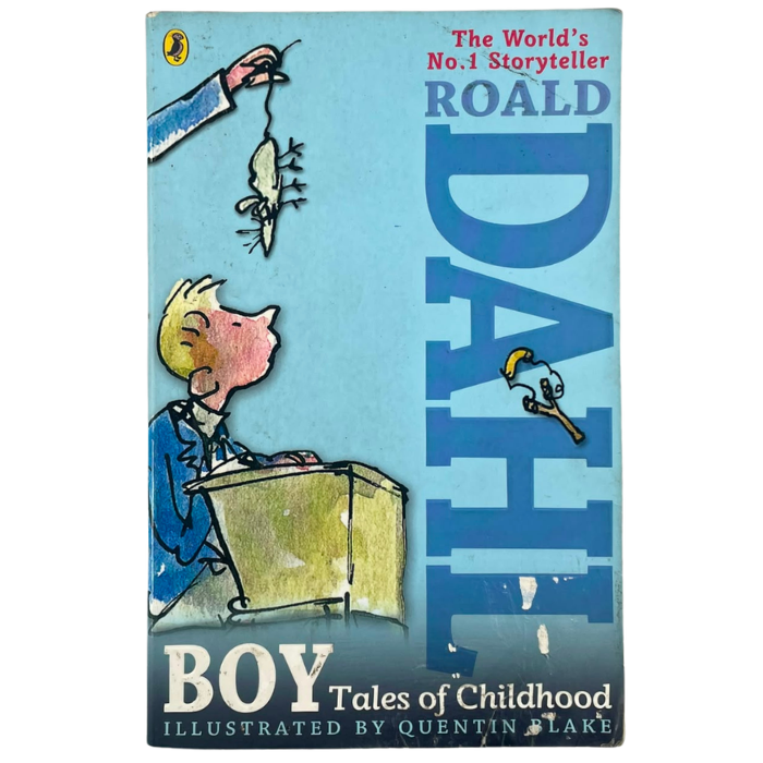 Boy: Tales of Childhood