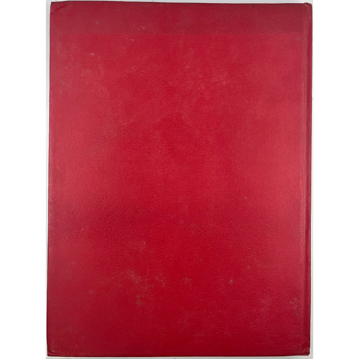 DALI... DALI... DALI...