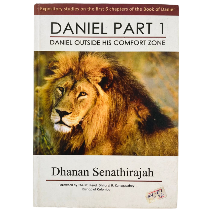 Daniel Part I: Daniel Outside His Comfort Zone