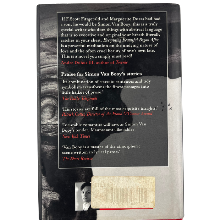 Everything Beautiful Began After