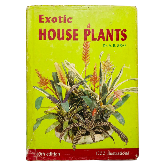 Exotic House Plants