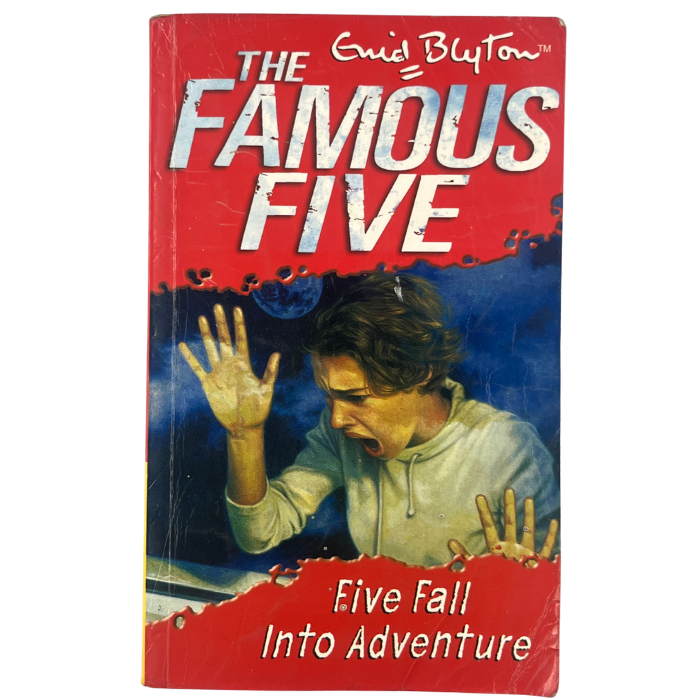 Five Fall Into Adventure (Famous Five : 9)