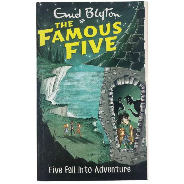 Five Fall Into Adventure (Famous Five : 9)