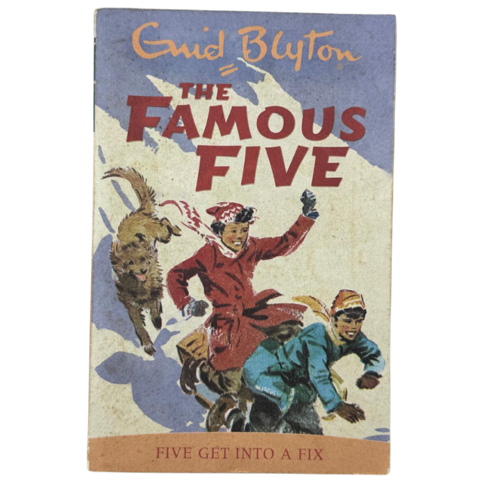 Five Get into a Fix (Famous Five : 17)