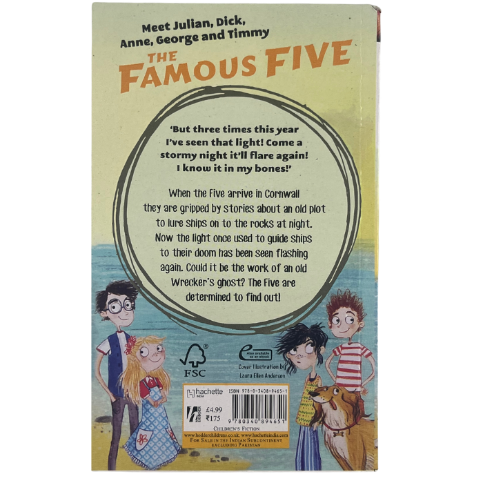 Five Go Down To The Sea (Famous Five : 12)