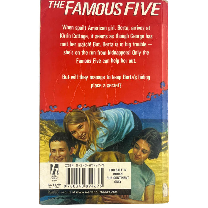 Five Have Plenty of Fun (Famous Five : 14)