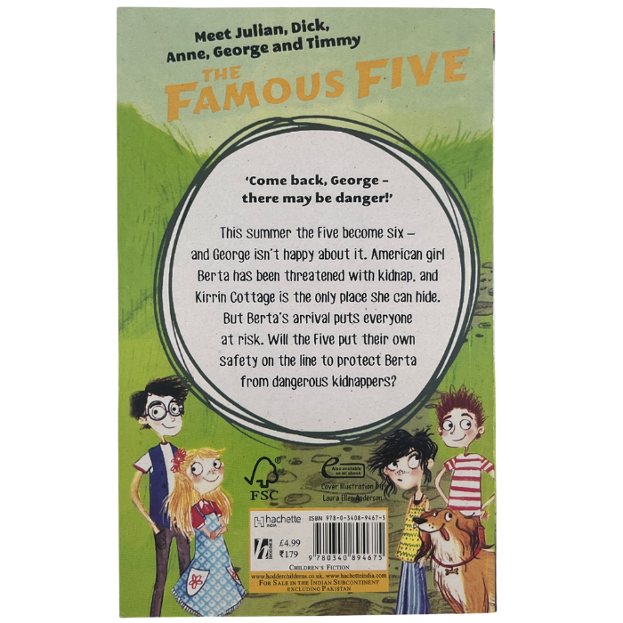 Five Have Plenty of Fun (Famous Five : 14)