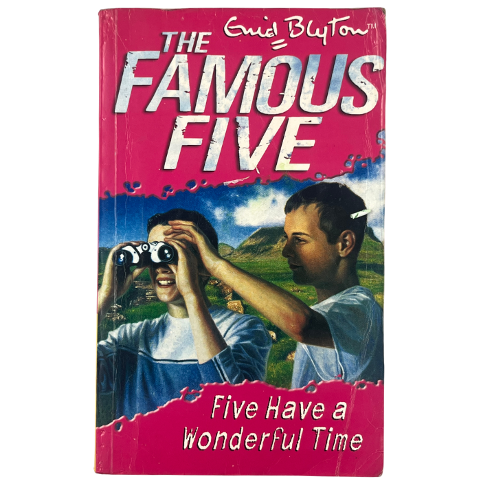 Five Have a Wonderful Time (Famous Five : 11)