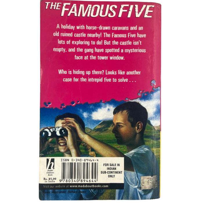 Five Have a Wonderful Time (Famous Five : 11)