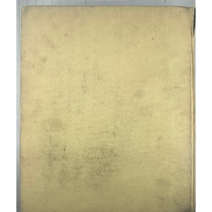 Gallery of Art  Washington (National Gallery of Art)