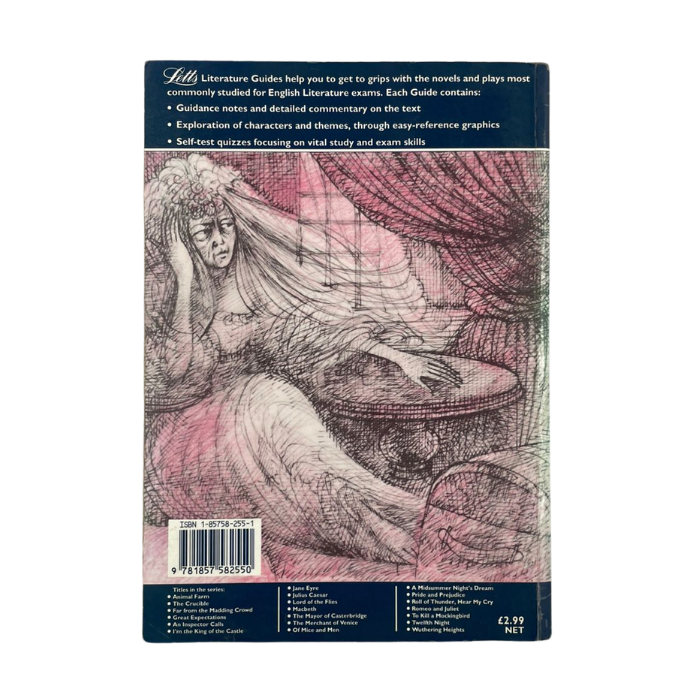 Great Expectations (Explore Literature Guide)