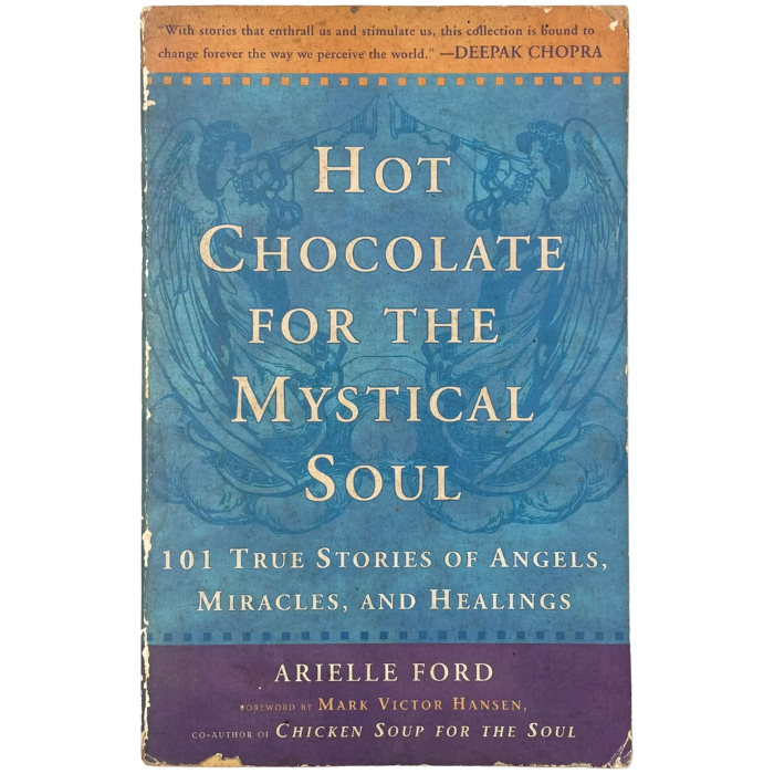 Hot Chocolate for the Mystical Soul: 101 True Stories of Angels  Miracles  and Healings