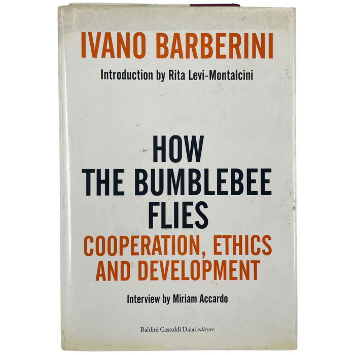 How the Bumblebee Flies