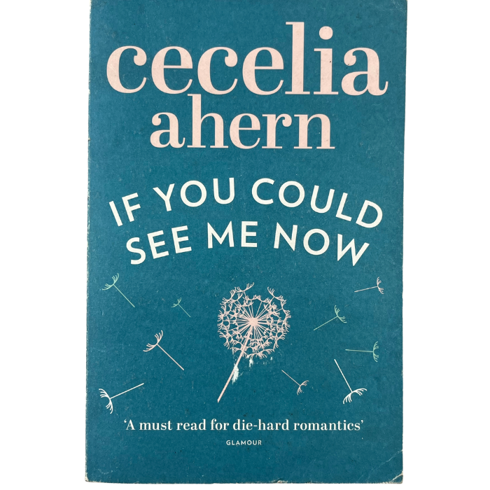 If You Could See Me Now