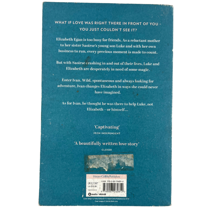 If You Could See Me Now