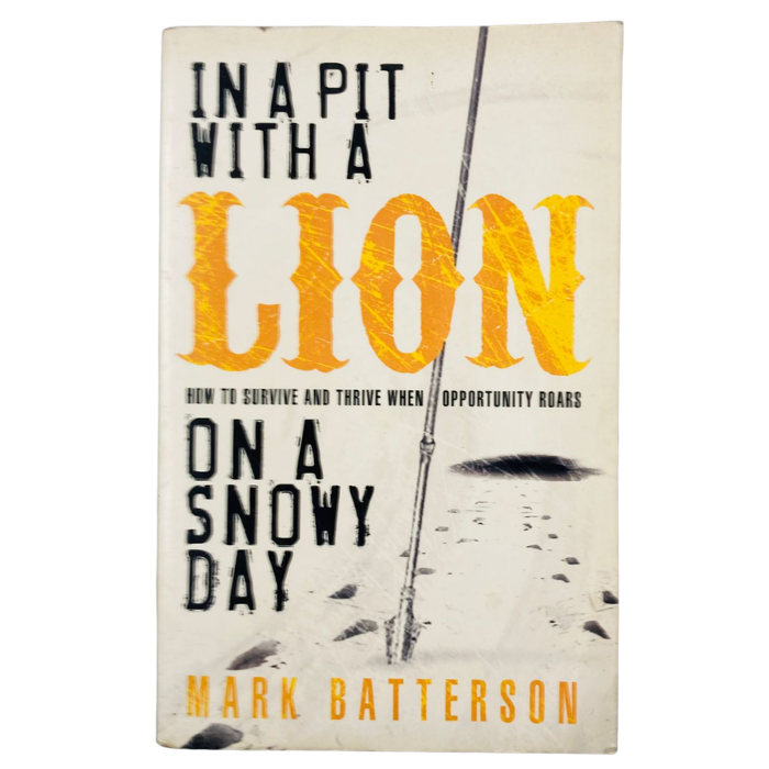 In a Pit with a Lion on a Snowy Day