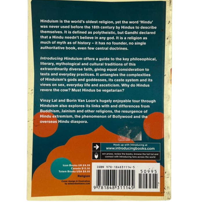 Introducing Hinduism: A Graphic Guide