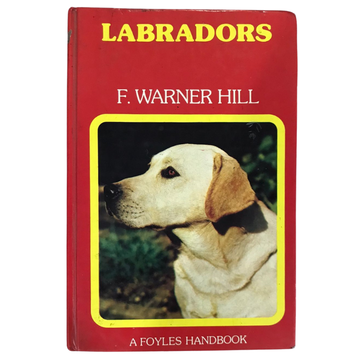 Labradors 