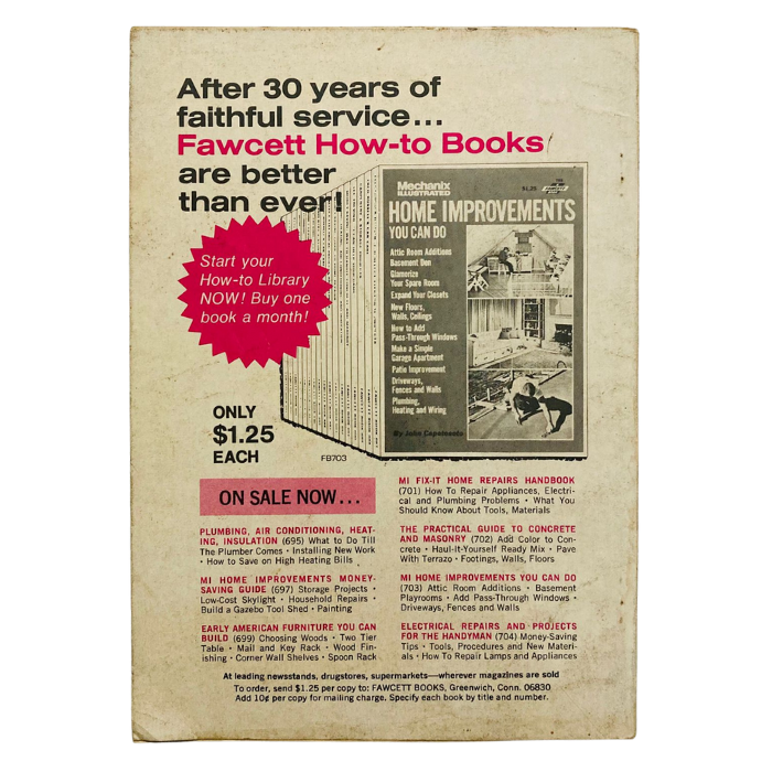 Mechanix Illustrated Craft Projects