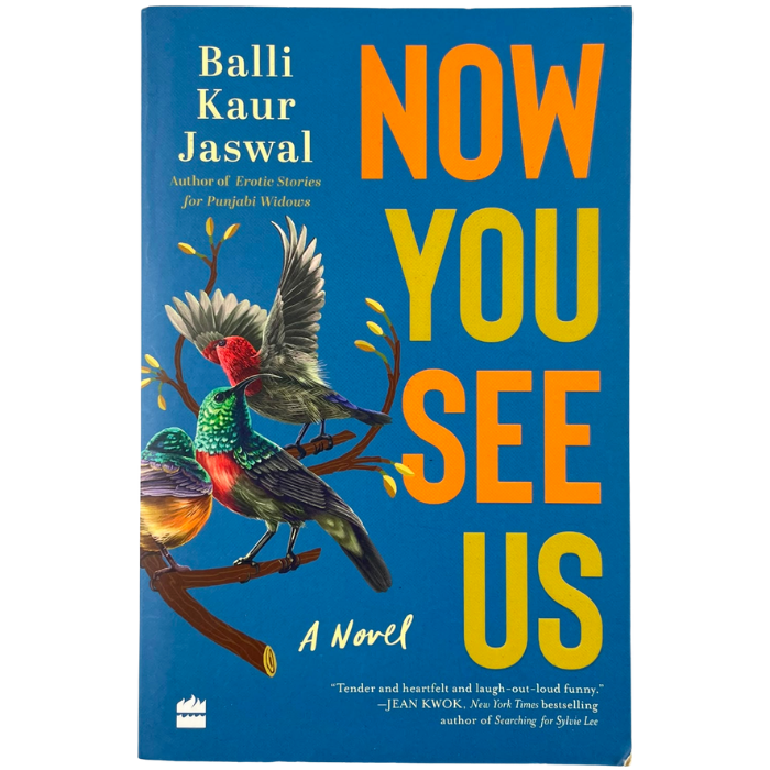 Now You See Us: The Novel
