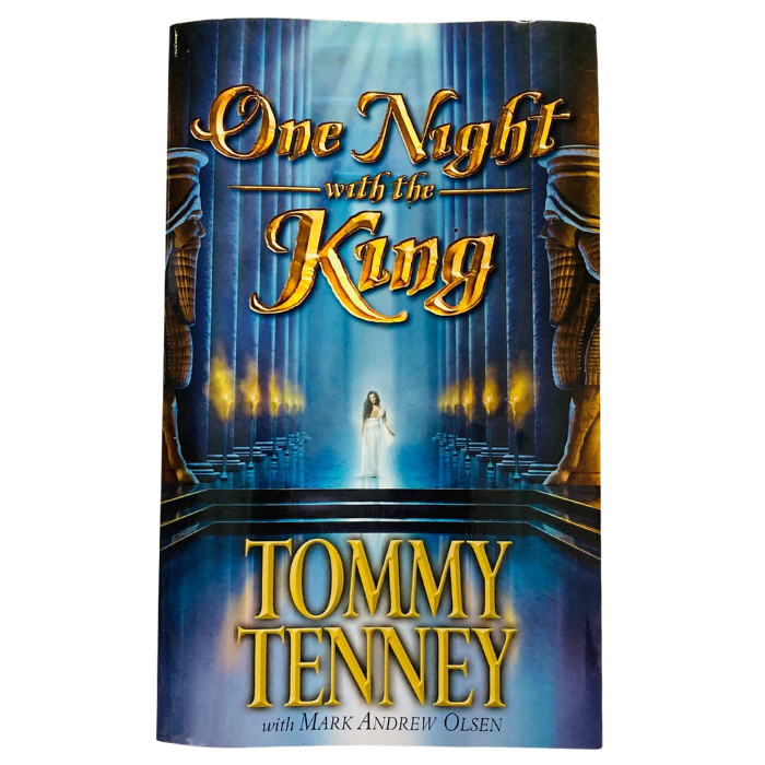 One Night with the King