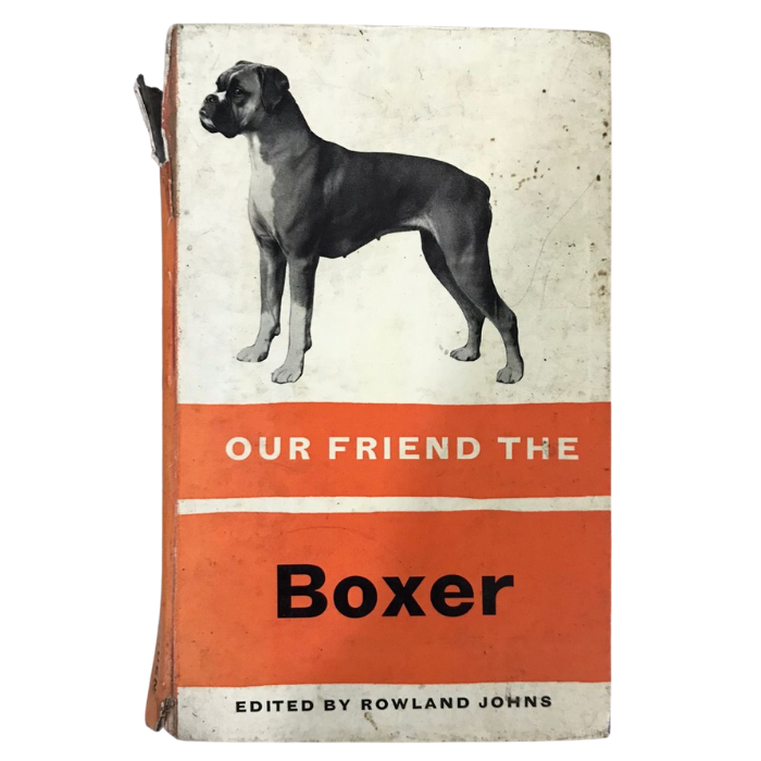Our Friend The Boxer