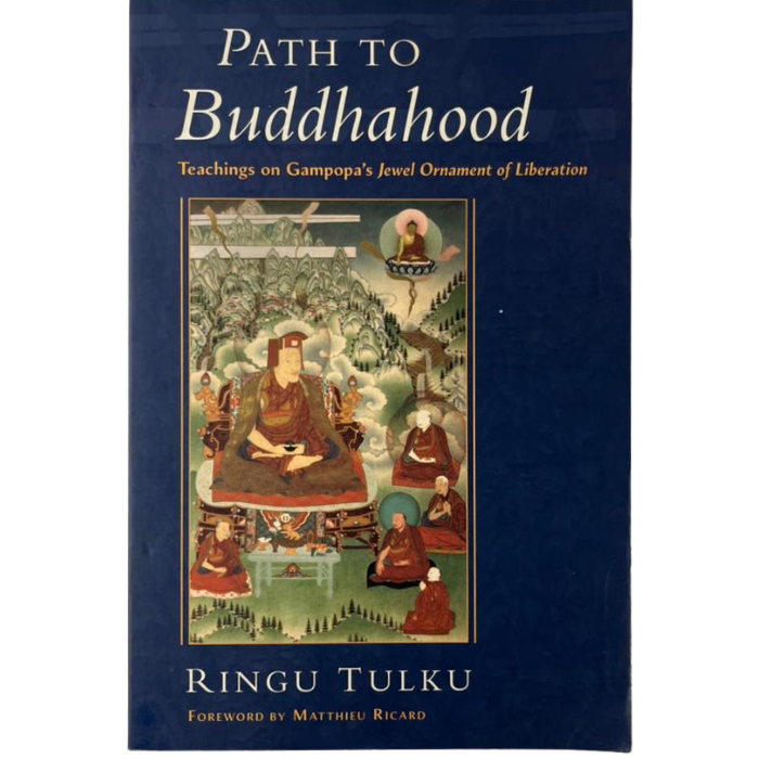 Path to Buddhahood: Teachings on Gampopa's Jewel Ornament of Liberation