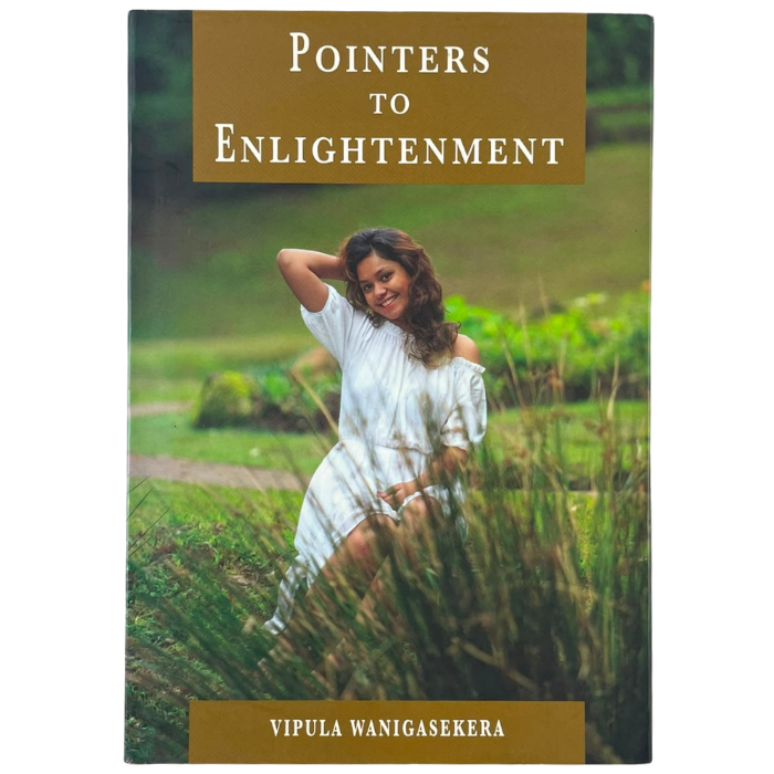 Pointers to Enlightenment