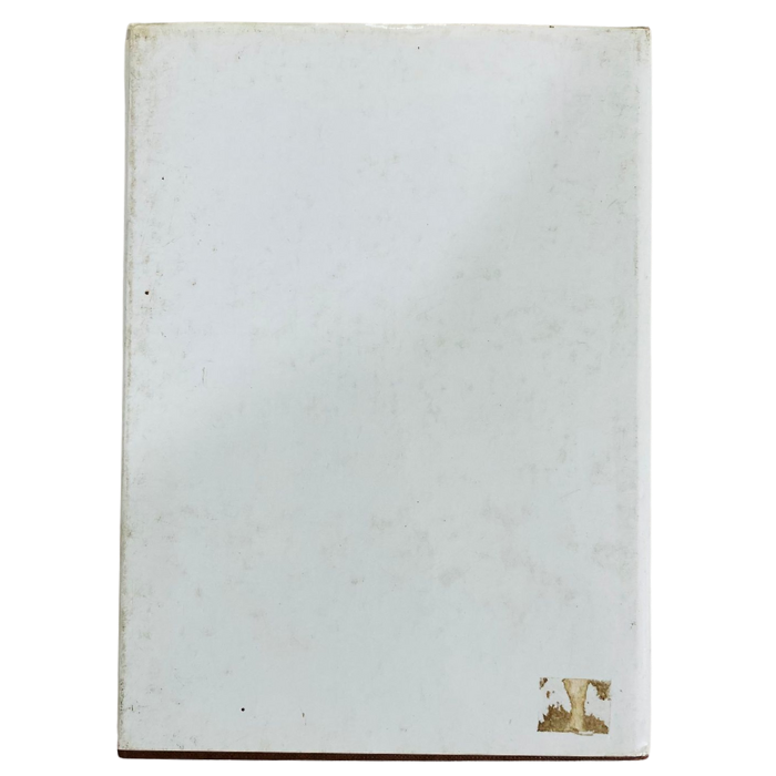 Reflections and Ruminations  Reminiscences and Reveries