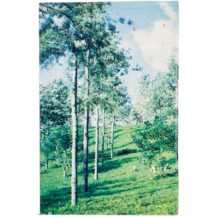 Saru The Wagawakata Piyawara