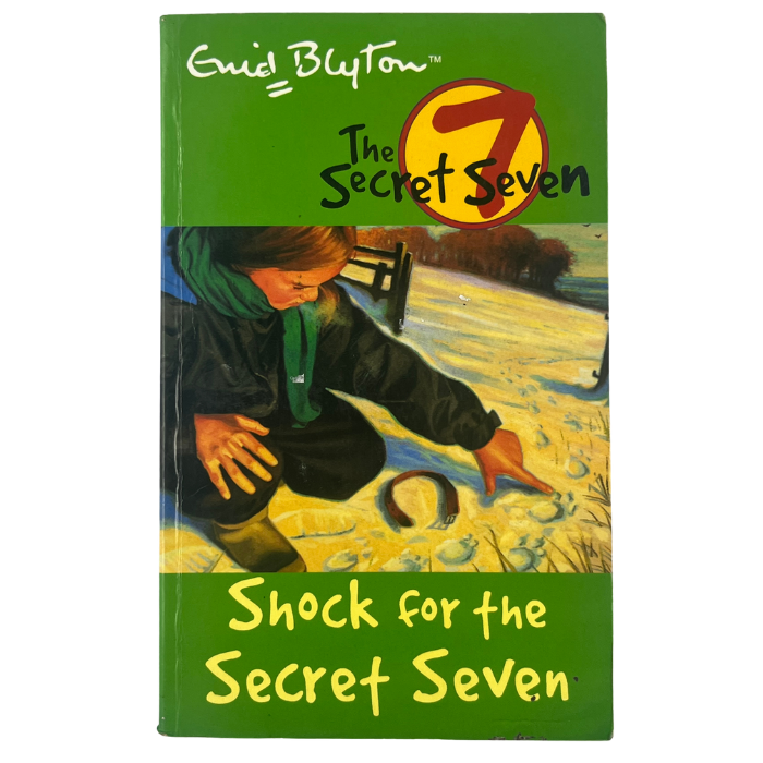 Shock for the Secret Seven