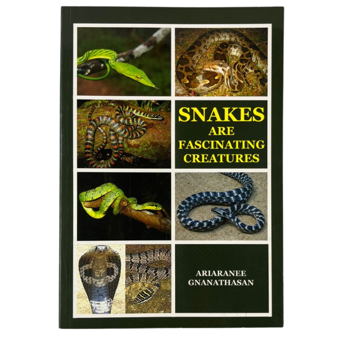Snakes are Fascinating Creatures