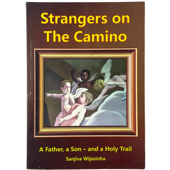 Strangers on The Camino: A Father  a Son – and a Holy Trail