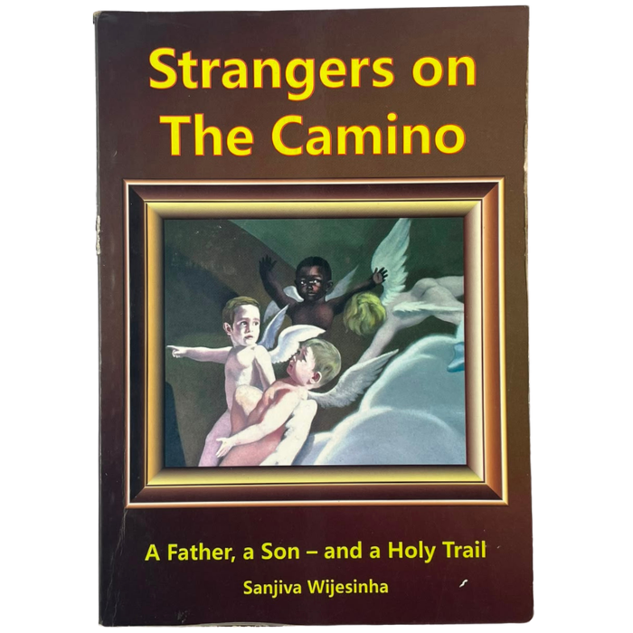 Strangers on The Camino: A Father  a Son – and a Holy Trail