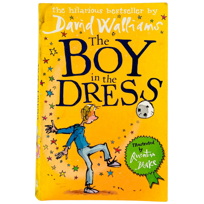 The Boy in the Dress