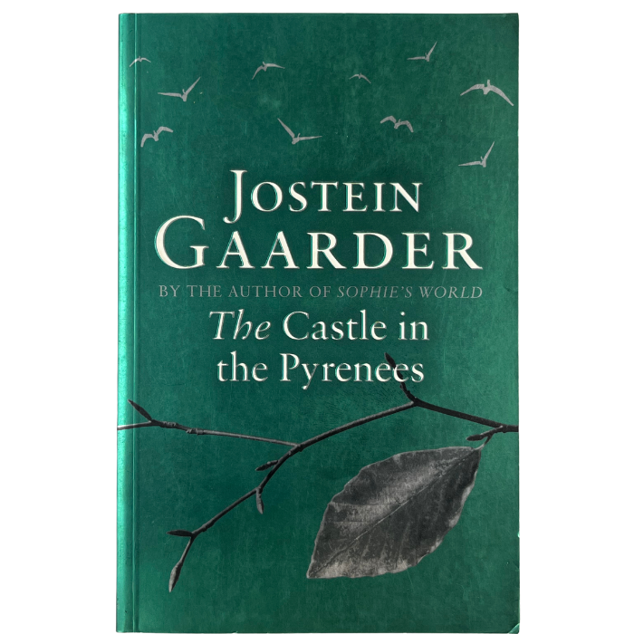 The Castle in the Pyrenees