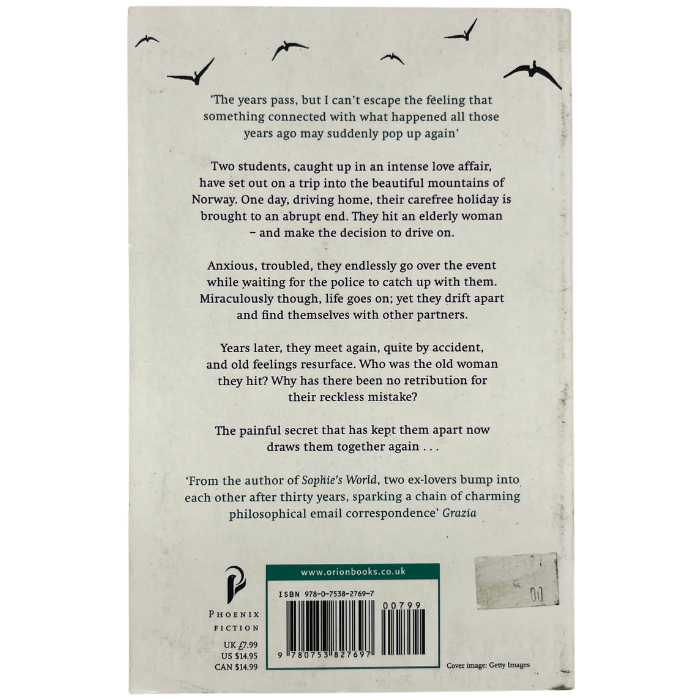 The Castle in the Pyrenees