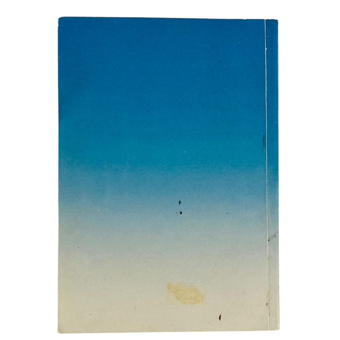 The Discourse Summaries