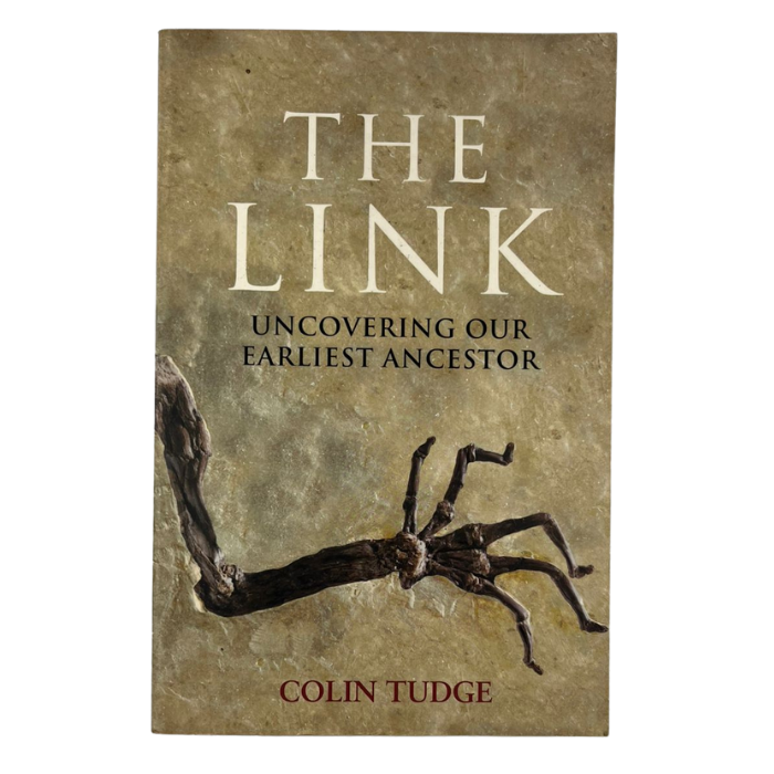 The Link: Uncovering Our Earliest Ancestor